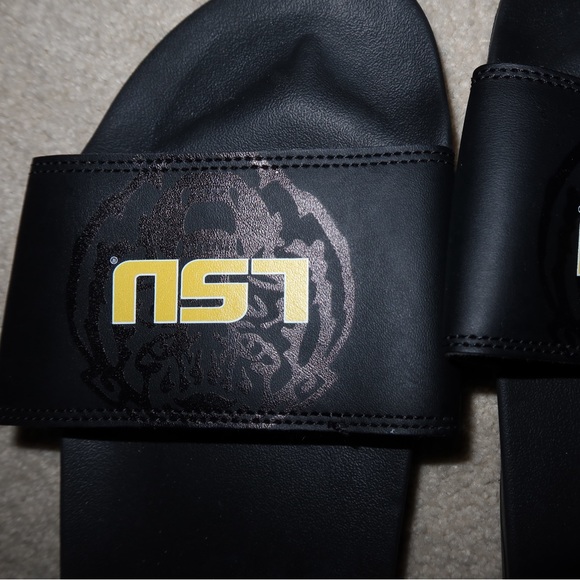 LSU Slides - Picture 2 of 2